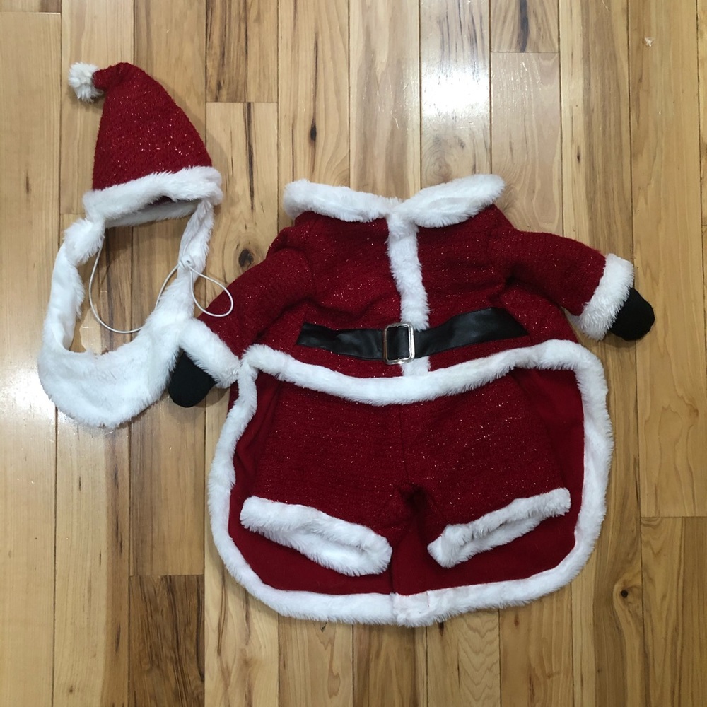 Dog SANTA costume